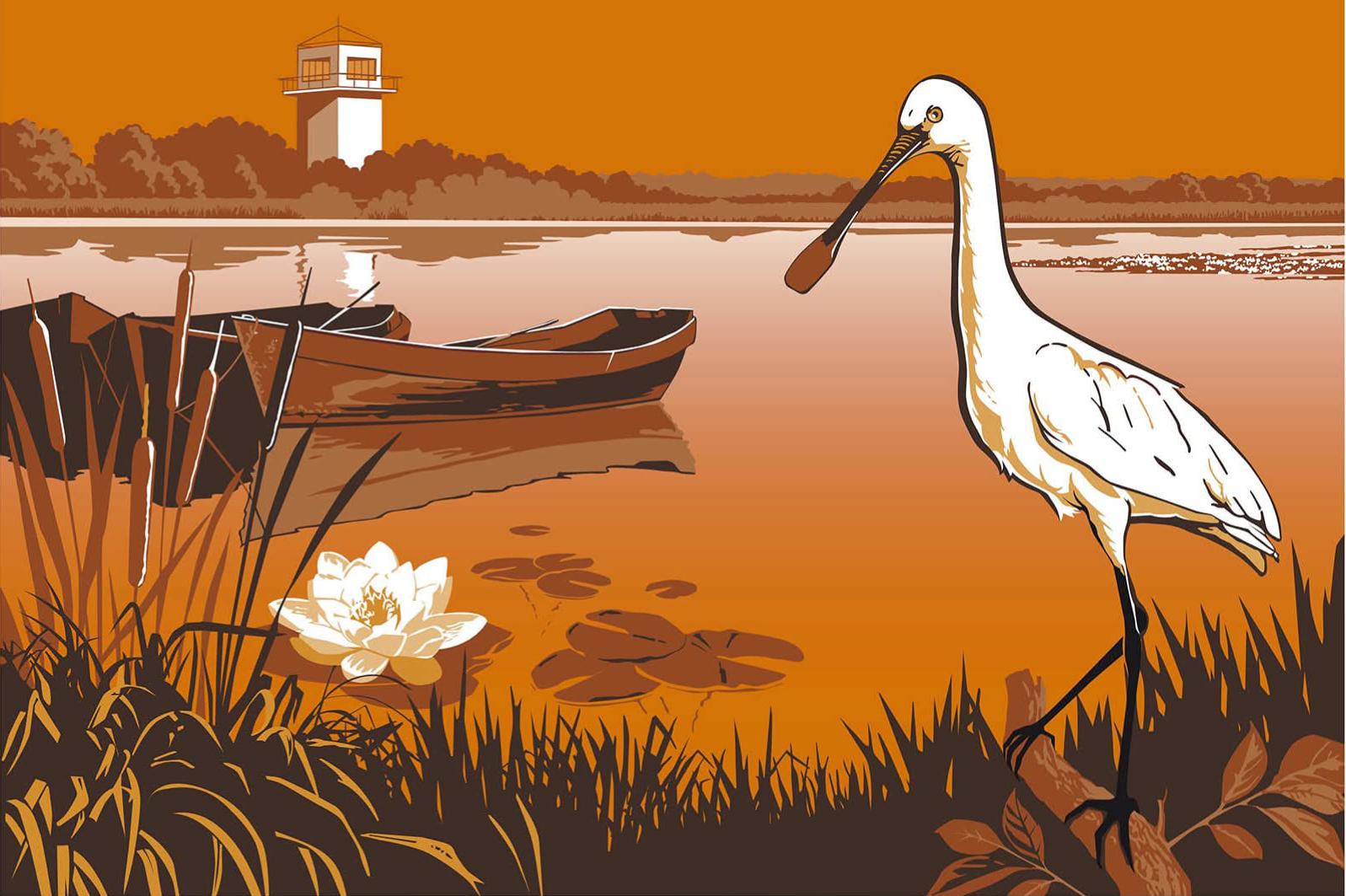 Photo du panneau : Lac de Grand-Lieu